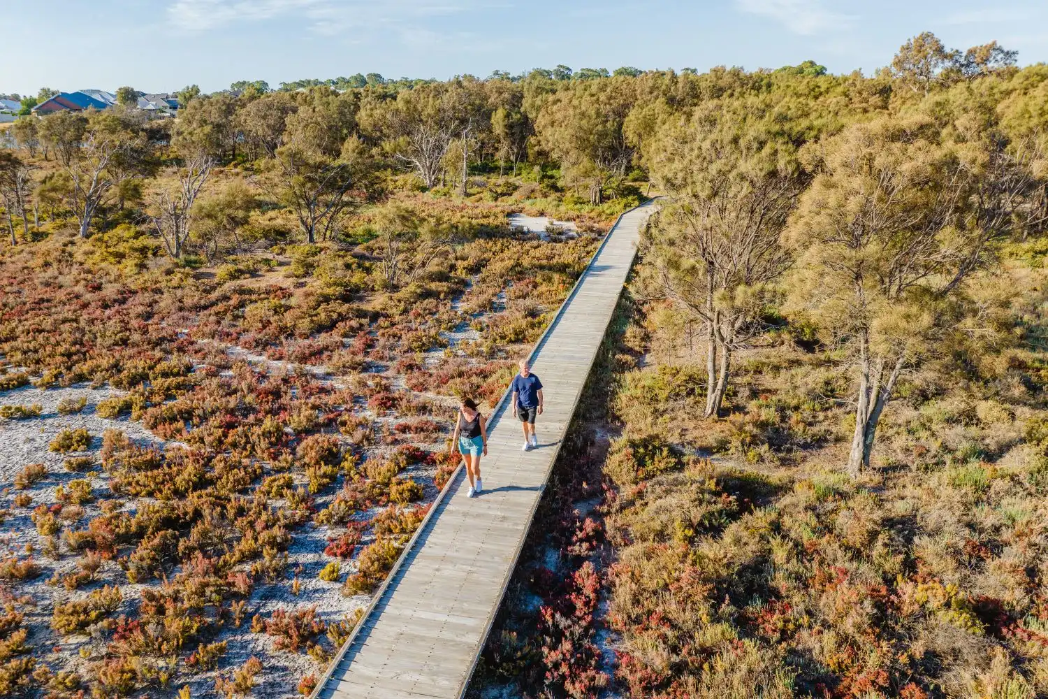 Two people walking over wooden bridge with bush and trees around them. 